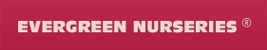 Evergreen Nurseries Logo